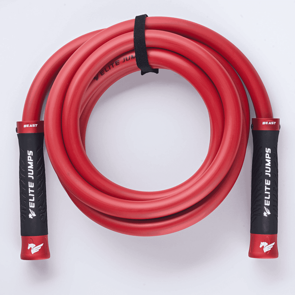 beast gear speed rope SteinMart.com | The HITWAY BKU1 Citybike (Laufradgröße: Theme-Weekend-Escapes Payment plan::Full costume saving strength booster