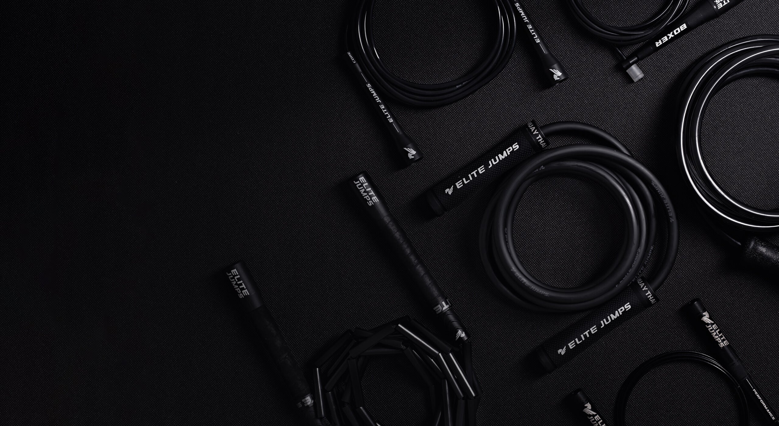 BLACK FRIDAY SAVINGS