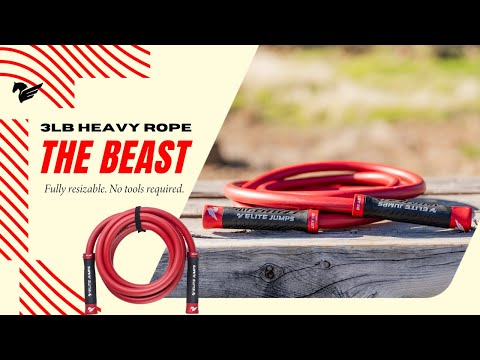 The Beast - 3lb Weighted Jump Rope Jump Rope Elite Jumps